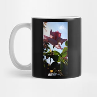 Summer Rose Mug